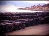 Copper WWII