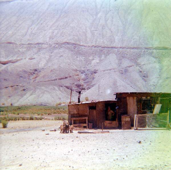 El Jardin 1970