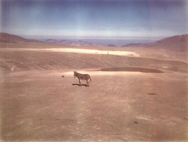 Potrerillos 1970 27