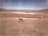 Potrerillos 1970 27