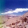 Potrerillos 1970 9