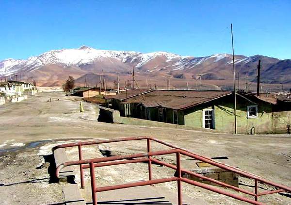 Potrerillos 2002  Vicuna
