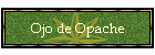 Ojo de Opache