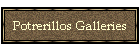 Potrerillos Galleries